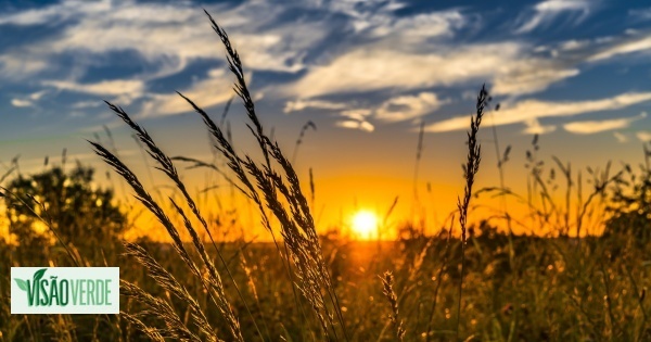 Transcendendo a Sustentabilidade: Um caminho regenerativo... lugar a lugar!