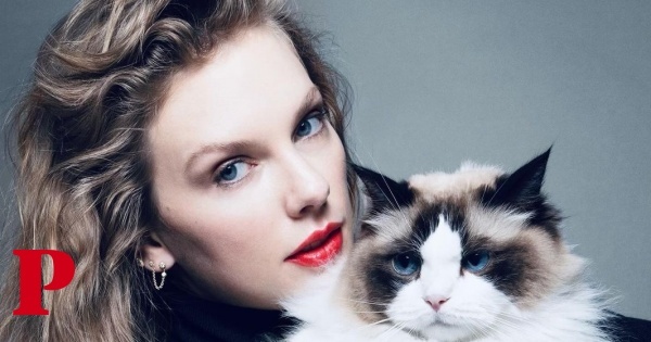 Eis Benjamin Button, o gato de Taylor Swift e estrela do seu apoio a Kamala Harris