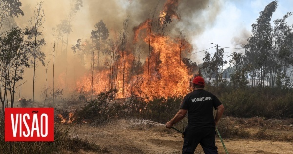 Presidente da Junta de Freguesia de Campo e Sobrado e dois funcionários constituídos arguidos por alegadamente terem provocado incêndio