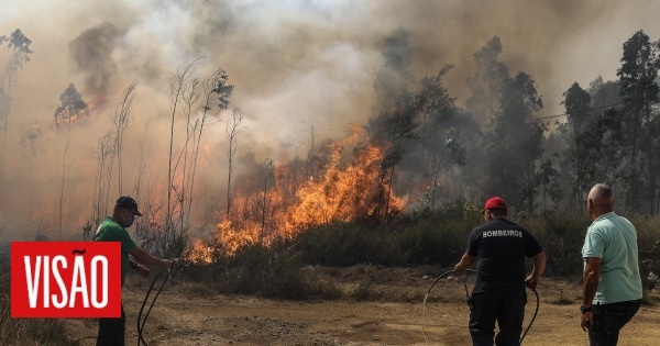 Incêndios: Mais de 5.000 operacionais e 21 meios aéreos, 4 mortos e várias estradas cortadas