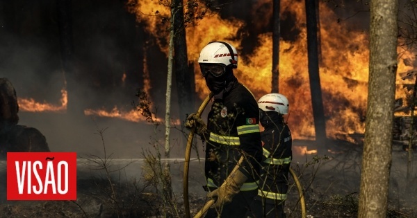 Inferno em Aveiro: dois mortos em Albergaria-a-Velha e Sever do Vouga, casas a arder e autoestradas fechadas