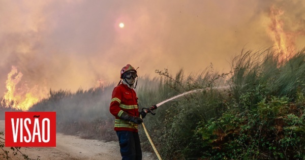 Despiste provoca morte de três bombeiros em Tábua. Número de mortos sobe para sete