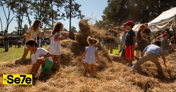 Festa do outono, em Serralves: Dois dias grátis para regressar à terra