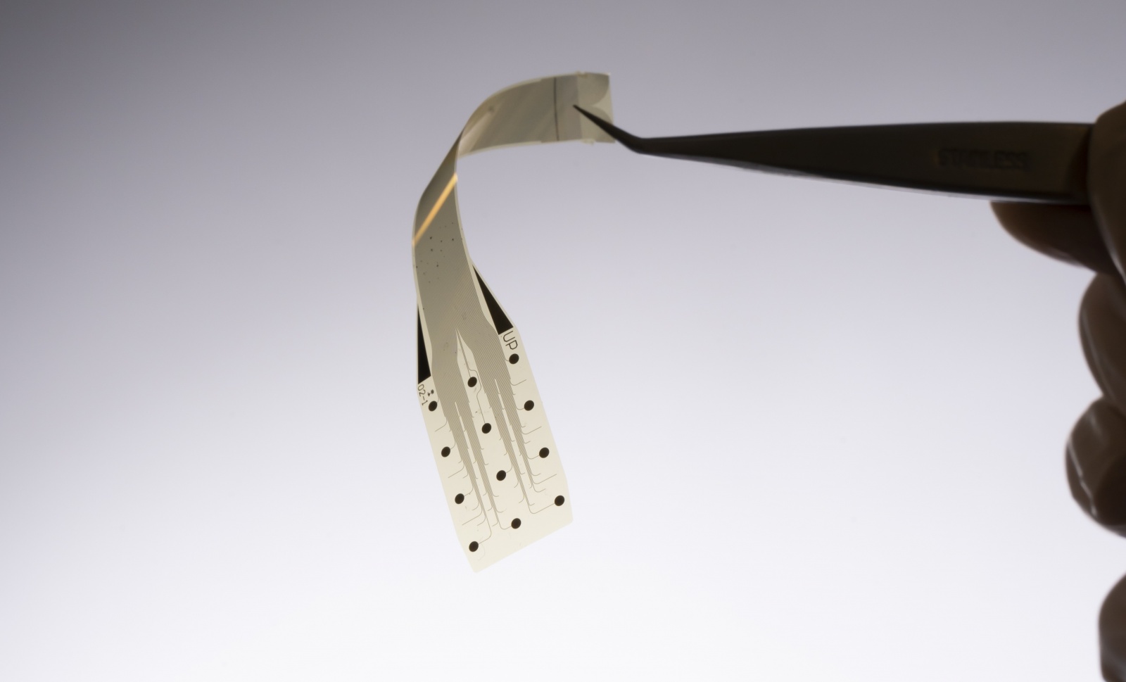 InBrain Neuroelectronics