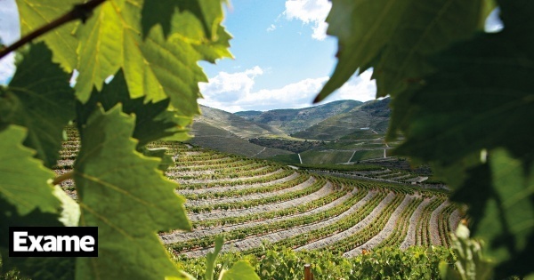 Douro aterra em Bruxelas para se posicionar como espaço de cibersegurança