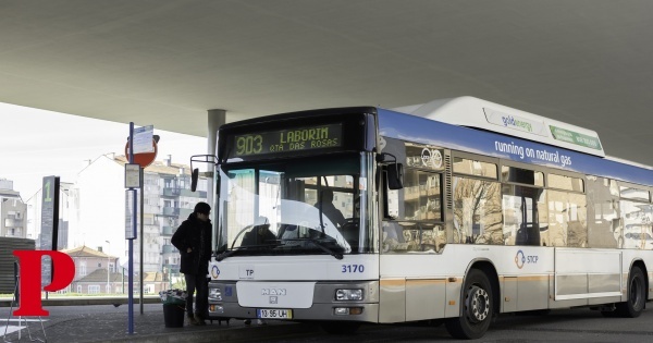 Greve na STCP faz autocarros “circularem às pinguinhas” e causa constrangimentos