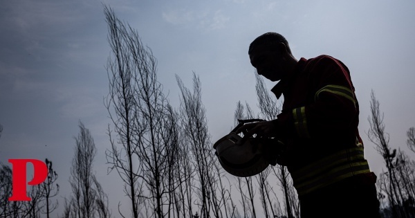 Incêndios: mais de um terço dos incêndios deste ano foram originados por fogo posto