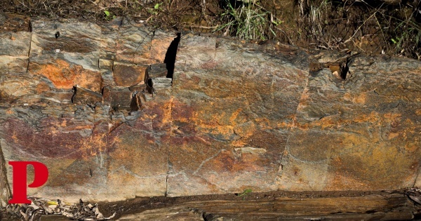 Arqueólogos descobrem nova gravura rupestre com mais de 20 mil anos no vale do Ocreza