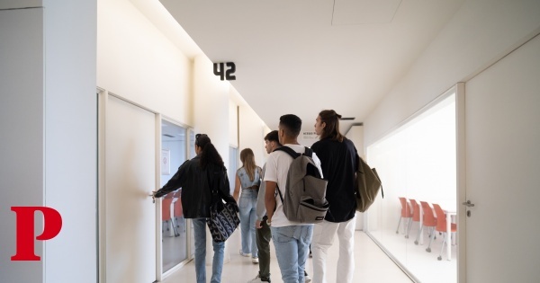 Ensino superior: instituições apostam em sistemas de predição do abandono escolar