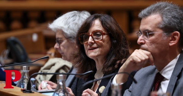 Dalila Rodrigues foi ao Parlamento defender as bibliotecas, o mecenato e as touradas