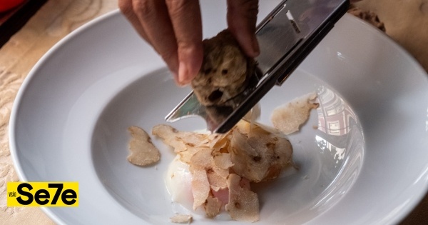 É outono e as trufas brancas já estão na mesa