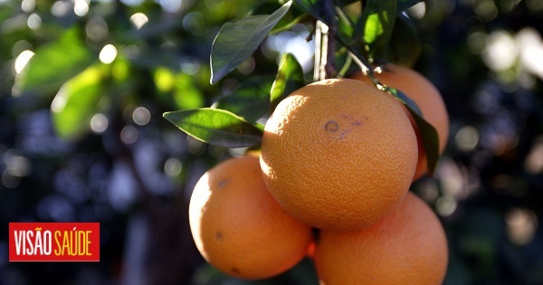 Do sistema imunitário à pele: tudo o que precisa de saber sobre a vitamina C