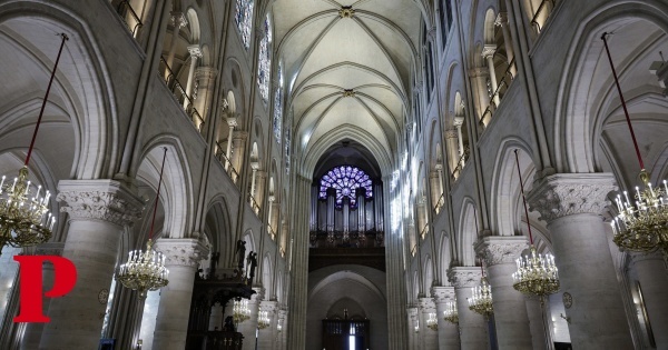 Notre-Dame, a catedral que o mundo não aceitou perder