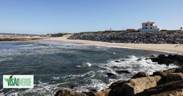 Região de Coimbra debate alterações climáticas na Figueira da Foz