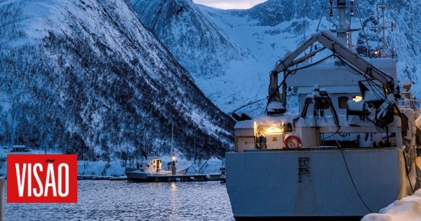 Da pesca à mesa: No reino do bacalhau da Noruega