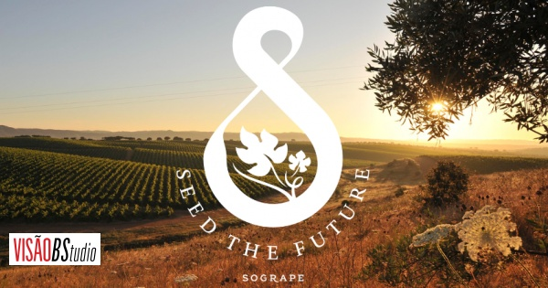 Seed the Future: preservar o planeta, a cultura do vinho e a comunidade