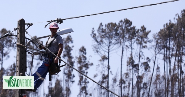 Relatório: Empresas podem perder até 25% das receitas devido às alterações climáticas - mas também há dinheiro a ganhar