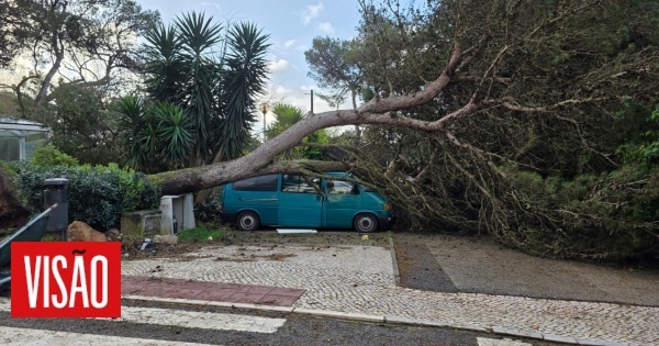 As imagens impressionantes dos estragos provocados pela passagem da depressão Martinho por Portugal