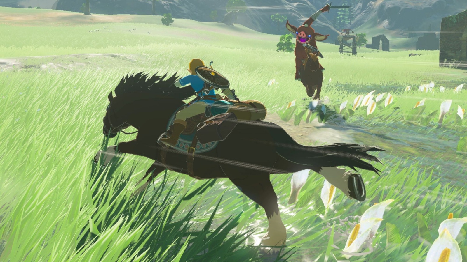Zelda