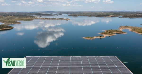 Portugal 2050: desafios e oportunidades na transição verde
