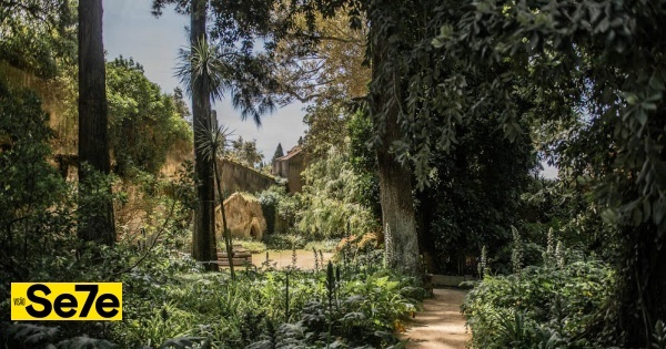 VISÃO Se7e: Jardins abertos, uma ode à Natureza