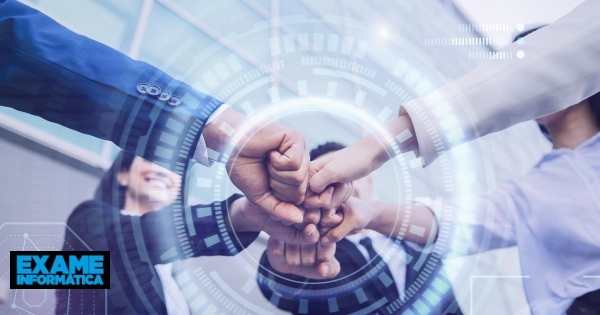 Cidadania digital: o papel das empresas