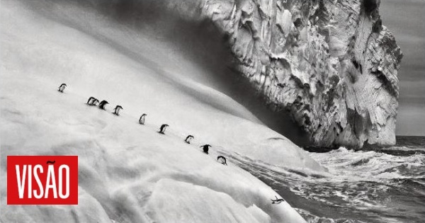 O evangelho segundo Sebastião Salgado