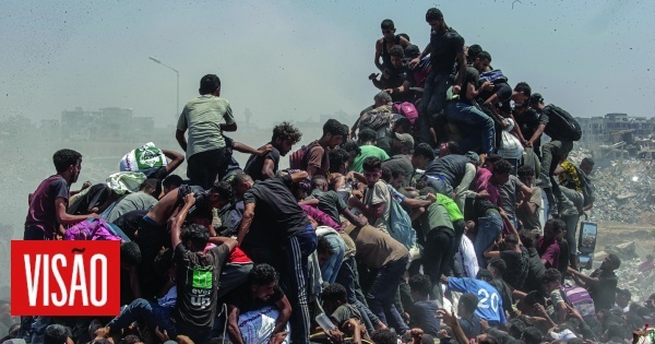Gaza: 