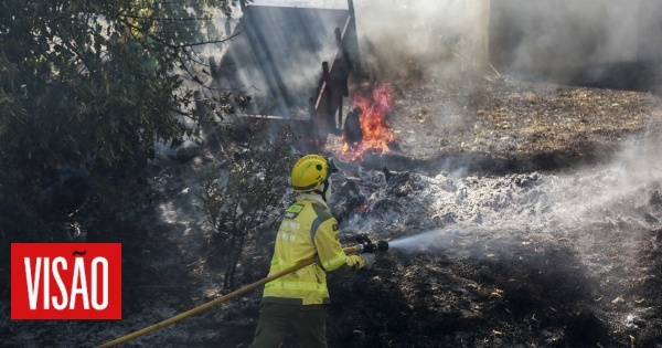 Detido suspeito da autoria de seis fogos em Pinhel