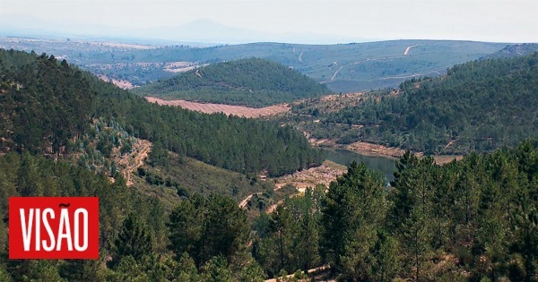 Investigação: O dono oculto do feudo dos Espírito Santo, a maior herdade vedada do País
