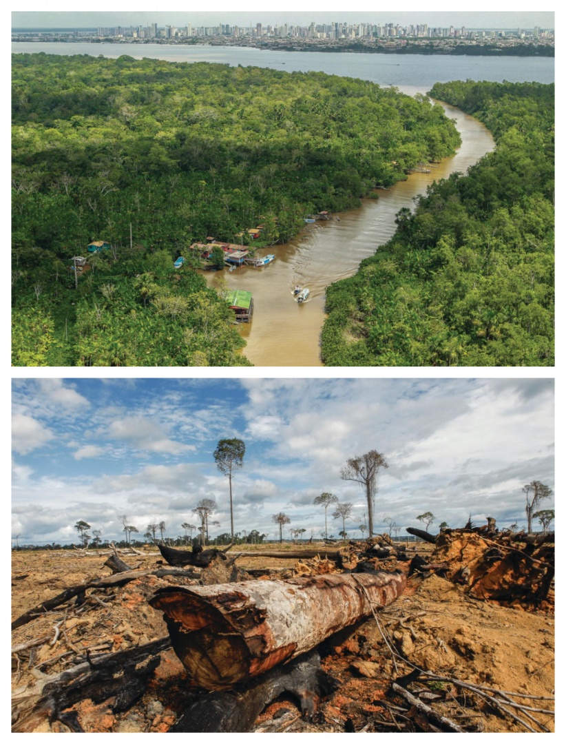 Conferência do clima: O grito da Amazónia para salvar o planeta