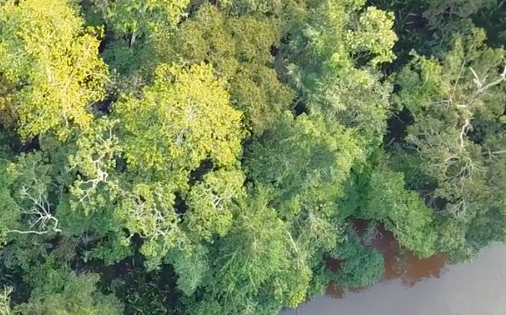 O testemunho em vídeo de dois ativistas na COP30