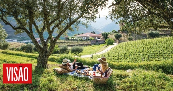 Revolução europeia no setor do vinho