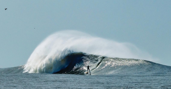 A onda que voltou ao rio Douro