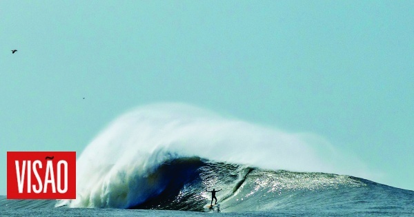 A onda que voltou ao rio Douro