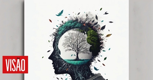 A Europa, o mundo e o Dia Mundial do Livro