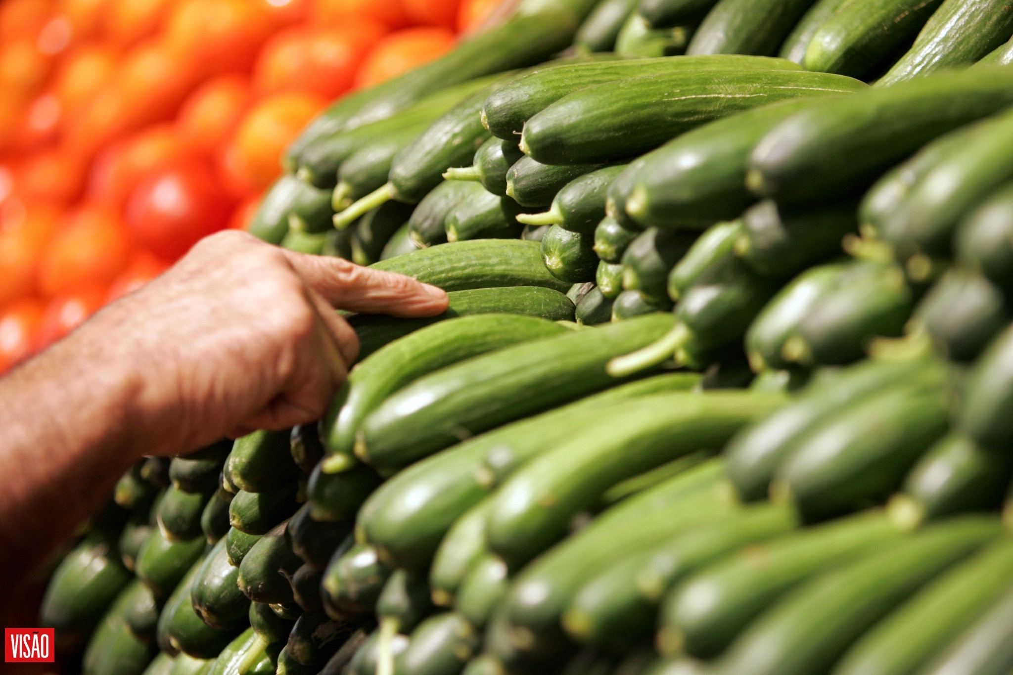 O dia em que os vegetais deixaram de ser acompanhamento