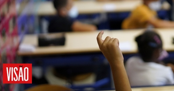 Porque é que ainda se confunde dislexia com falta de esforço? Opinião de uma pediatra