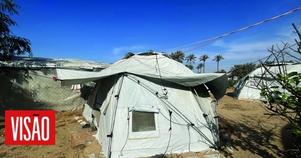 “Como pai em Gaza, o novo lar que estou a construir para os meus filhos é uma tenda de nylon”