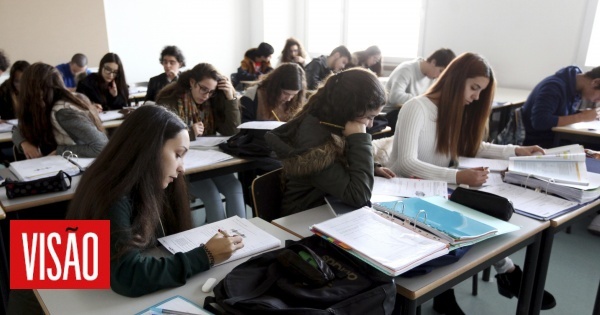 Estaremos a confundir memória com conhecimento? Opinião de uma professora