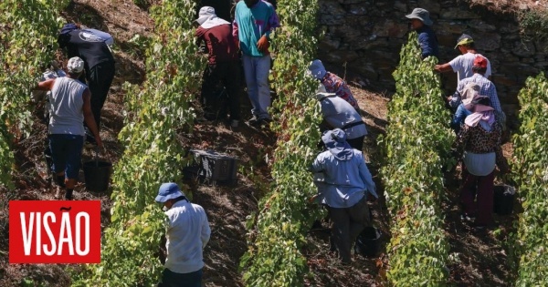 Quanto vale cuidar do Douro?