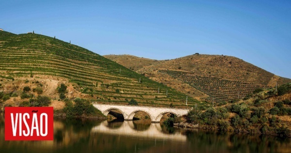 A distância mais longa do Douro