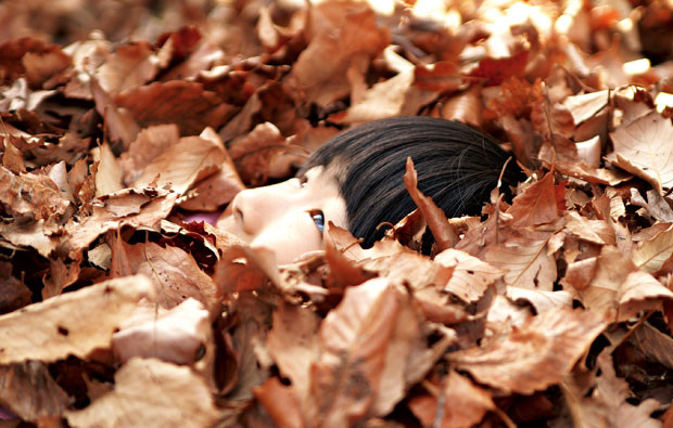 3-Boy-in-leaves.jpg