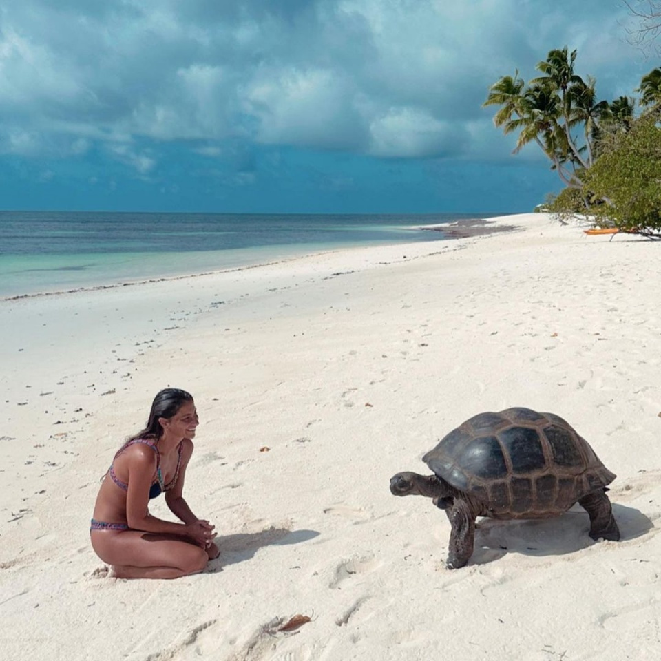 Isabel Figueira e Luís Santos vivem dias de romance nas Seychelles