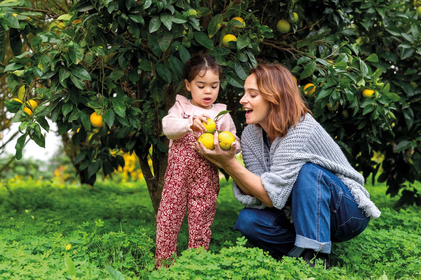 Monte a vida da sua filha 39 perguntas