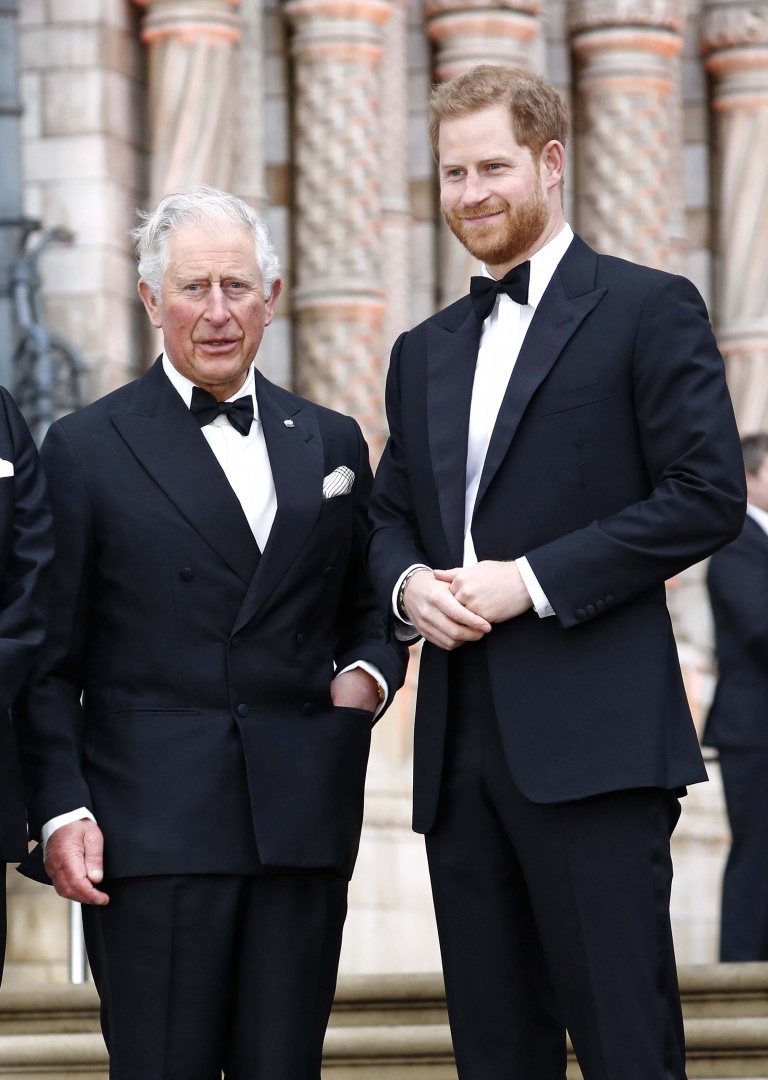 Revelados novos detalhes sobre o encontro entre o rei Carlos e o príncipe Harry