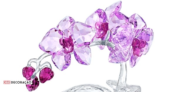 Tesouros de cristal ou orquídeas em flor