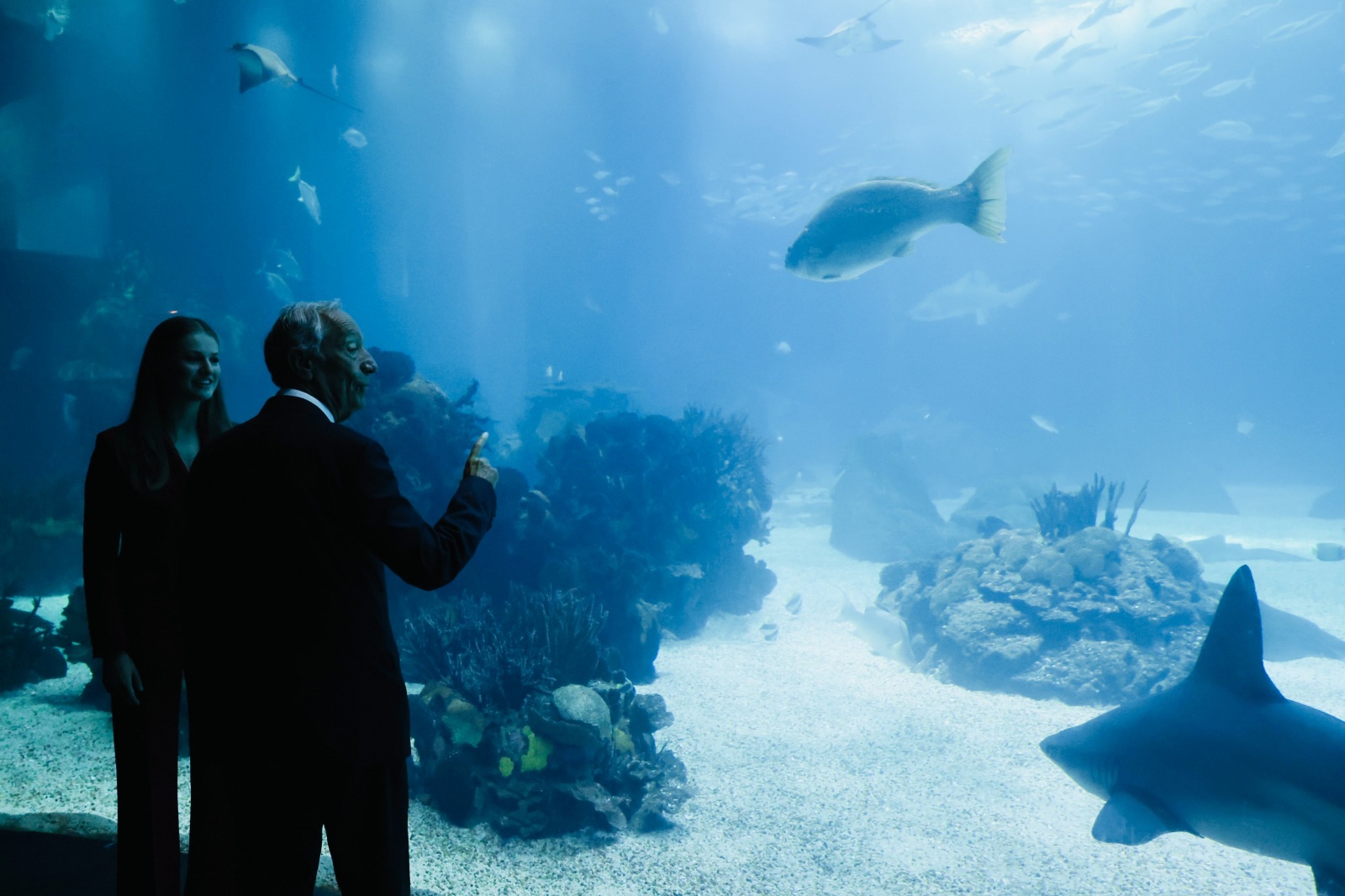 Princesa Leonor encantada com Oceanário de Lisboa