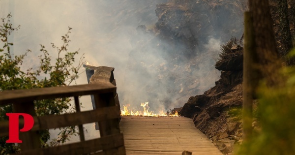 Incêndios: área ardida em Arouca corresponde a 20% do concelho