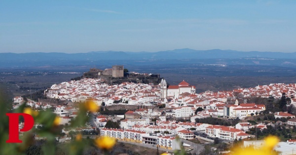 Bombeiro ferido com gravidade após ataque de víbora em Castelo de Vide